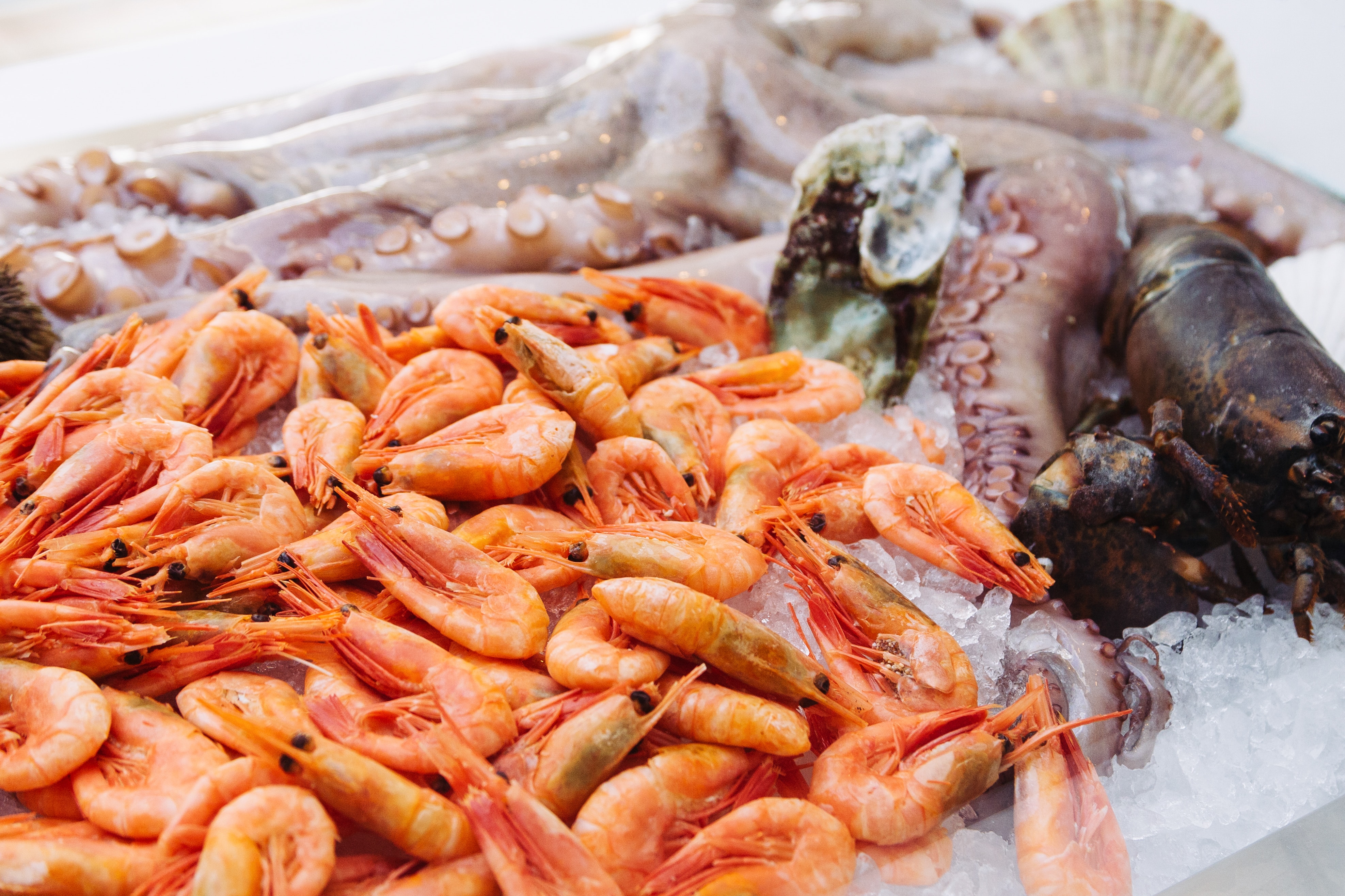 Seafood and Its Health Benefits