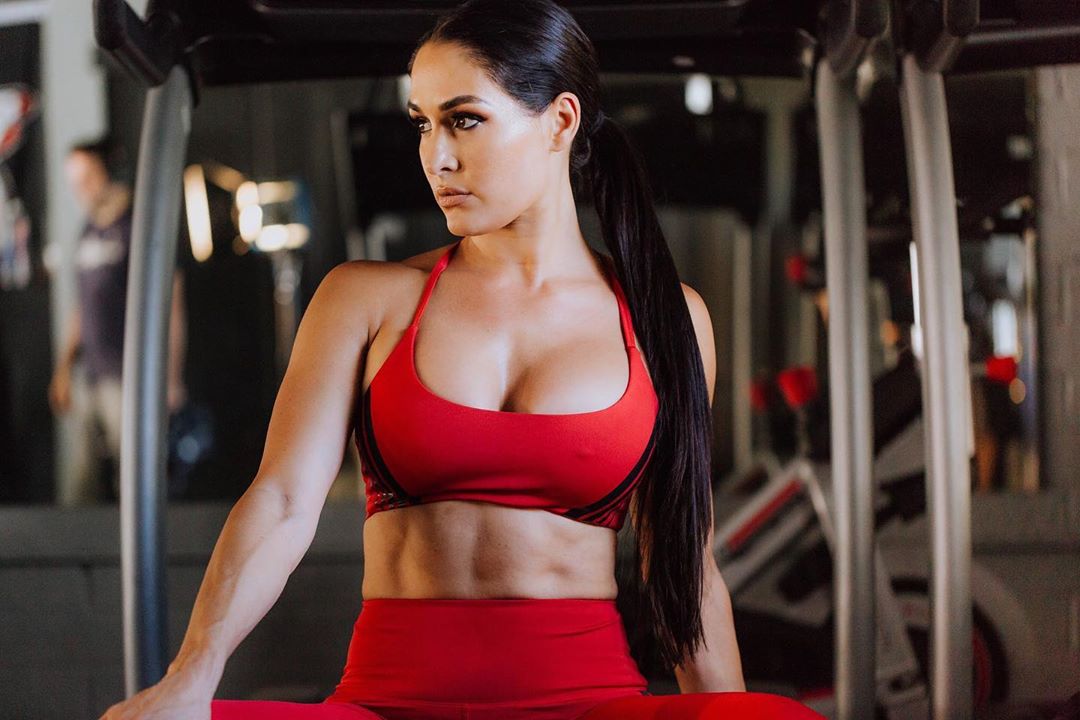 Nikki Bella Says She’s Scared to Get Engaged Again: ‘A Public Breakup Can Scar You’