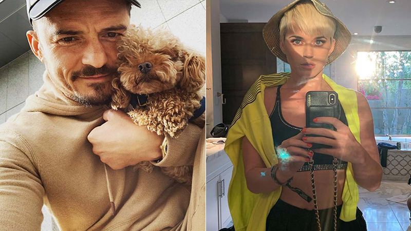 Katy Perry’s Post Hints She’s Ready To Make Orlando Bloom Her Mister For Life; Fans Can’t Stop Obsessing Over ‘Those Dogs Though’