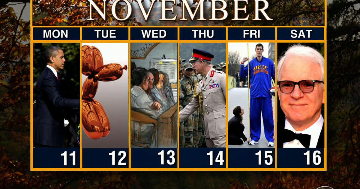 Calendar: Week of November 11