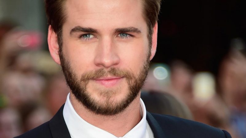 Director calls Liam Hemsworth film a mistake