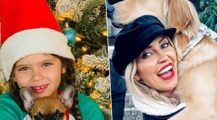 Kaitlyn Bristowe, Teddi Mellencamp and More Stars Who Have Gifted Adorable Pups for Christmas