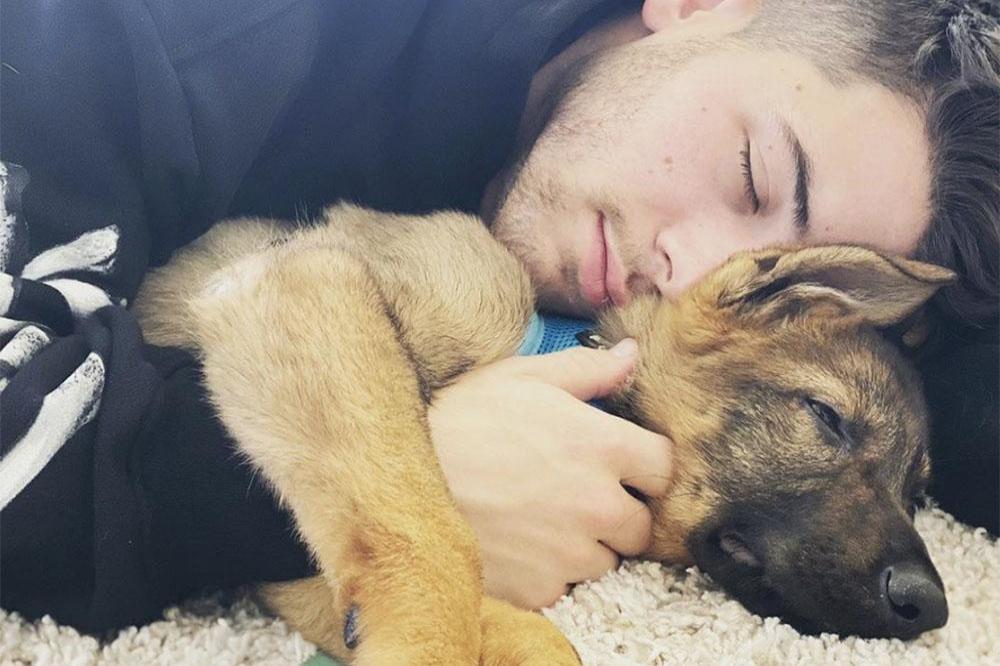 Nick Jonas and Priyanka Chopra’s Dogs Are Fighting For Instagram Likes