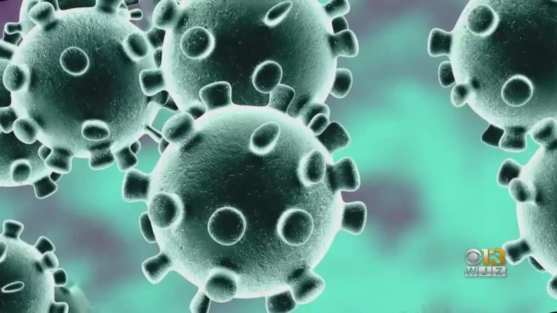 CDC believes coronavirus outbreak in U.S. is inevitable; Vandy doctor warns of risks