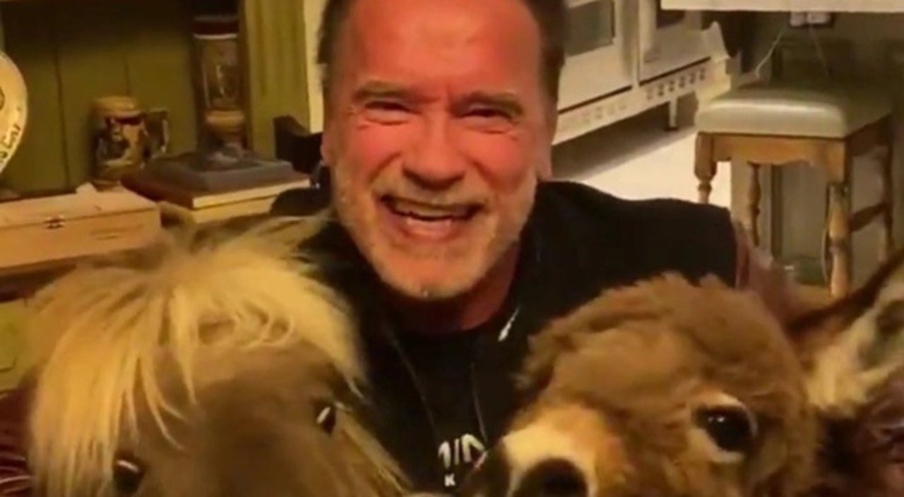 Arnold Schwarzenegger Sends Message for Fans to Stay at Home During Coronavirus Pandemic