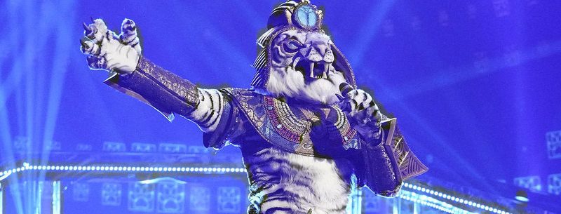 The Masked Singer Super Nine Hits the Stage and Yes, White Tiger Is Still Terrible