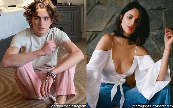 Timothee Chalamet And Eiza Gonzalez Spark Romance Rumors During PDA-Packed Mexico Vacay