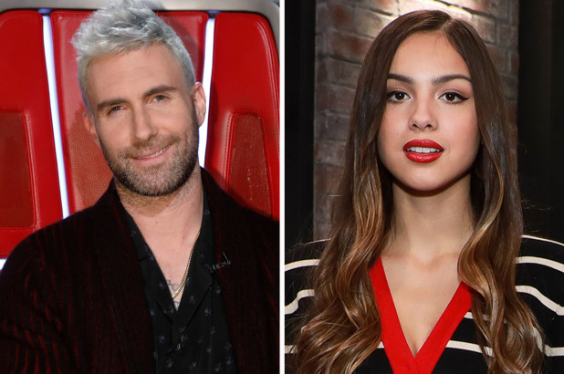 Adam Levine defends Olivia Rodrigo amid song copying accusations