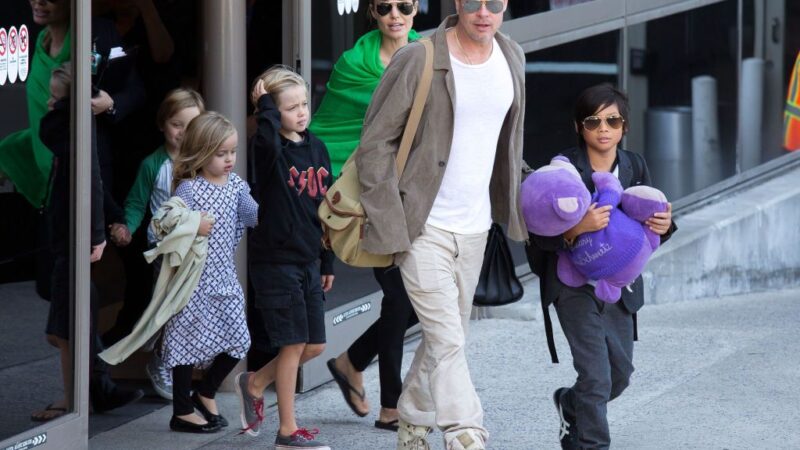 Brad Pitt Has “Virtually No Contact” With His Adult Kids